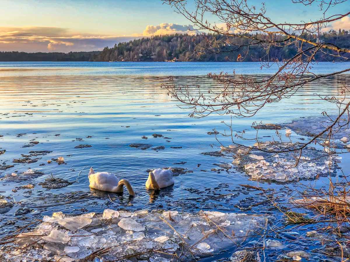 Looking West – Looking&nbsp;North